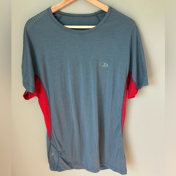 Icebreaker 100% New Zealand Merino Wool T-Shirt Large 140 superfine red and grey - Picture 1 of 4